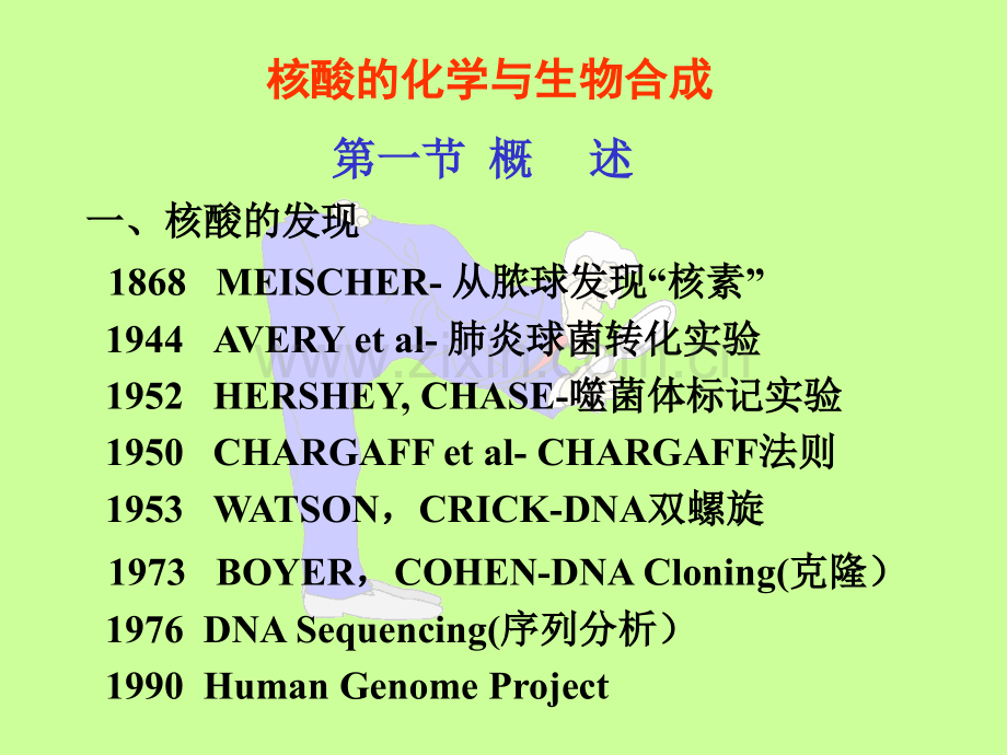 北京大学基础医学院生物化学与分子生物学系贾弘禔.ppt_第2页