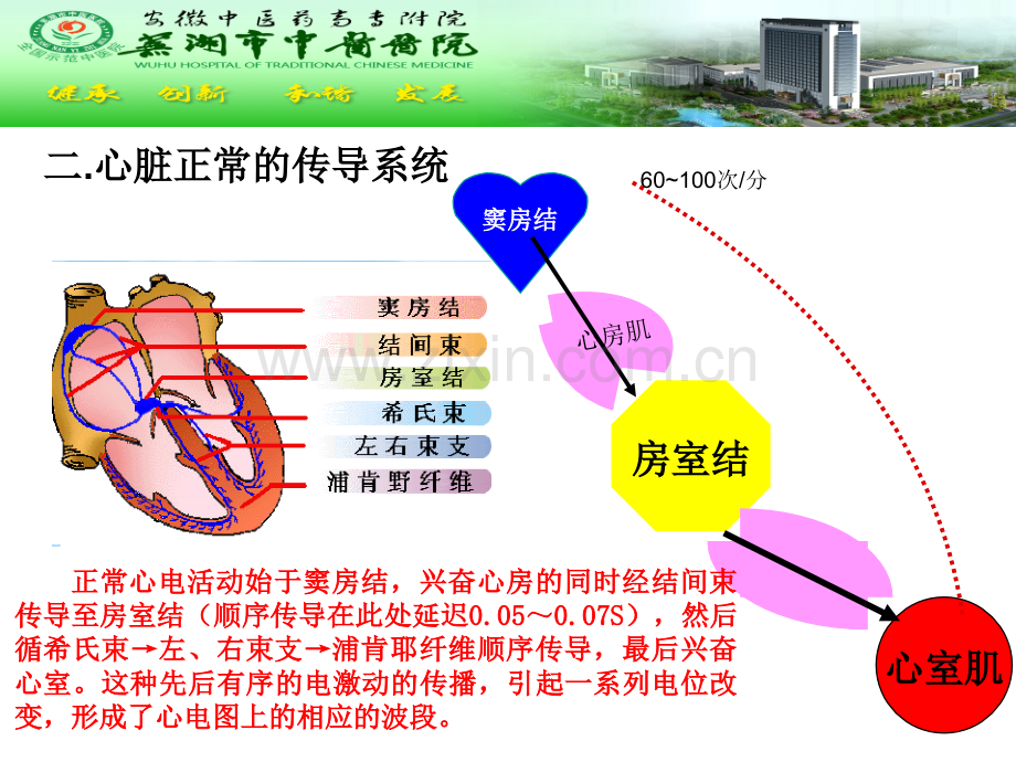 室性心律失常.pptx_第3页