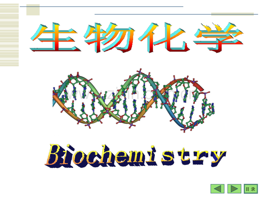 《生物化学》-绪论和蛋白质.ppt_第1页