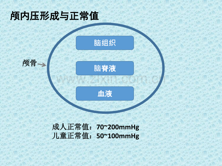 颅内压增高及脑疝.pptx_第2页