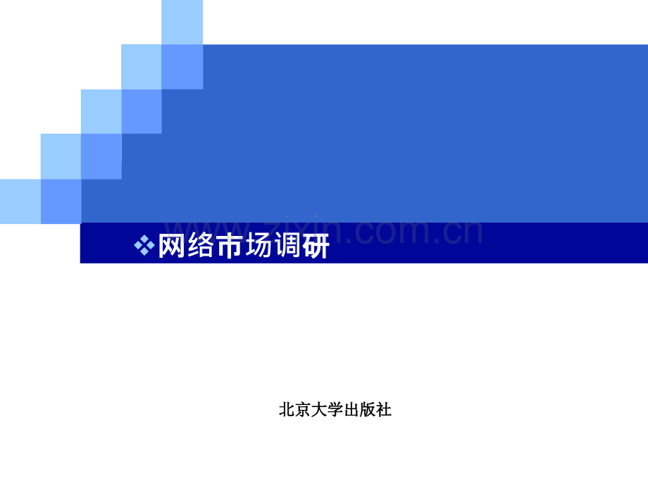 网络市场调研.ppt_第1页