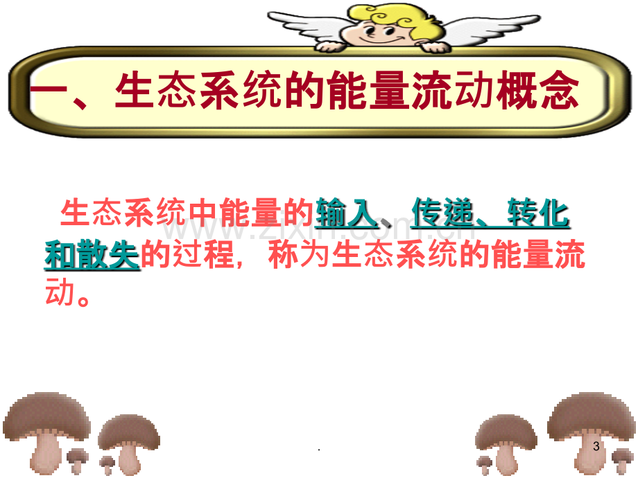 生态系统的能量流动.ppt_第3页