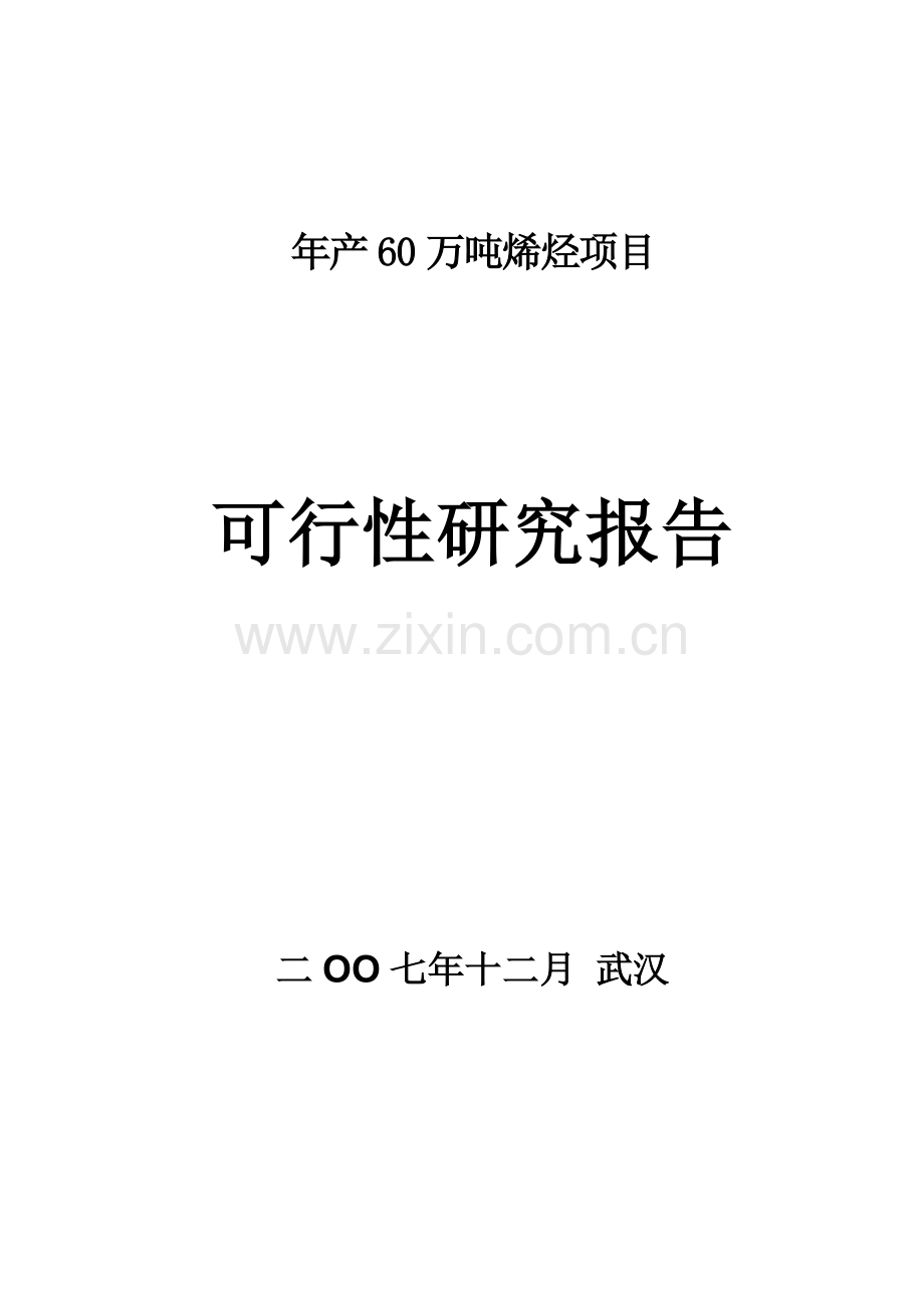 x省新能源开发有限公司年产60万吨烯烃包括聚乙烯-聚丙烯-丁烯项目申请立项可研报告.doc_第1页