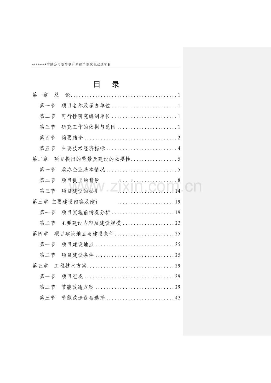 氨醇联产系统合理用能优化改造项目投资可行性研究报告.doc_第1页