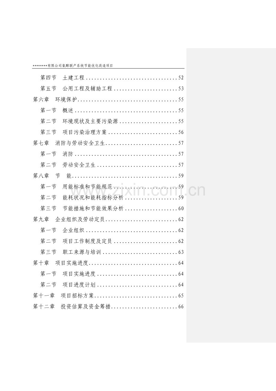 氨醇联产系统合理用能优化改造项目投资可行性研究报告.doc_第2页