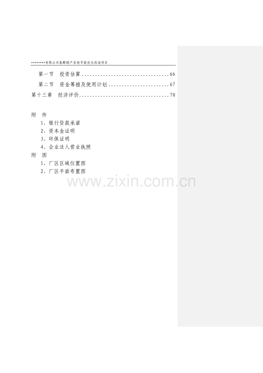 氨醇联产系统合理用能优化改造项目投资可行性研究报告.doc_第3页