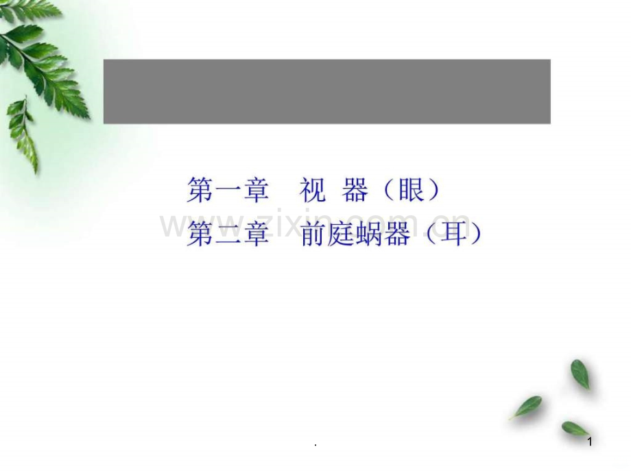 解剖学-感觉器-视器(临床专业)ppt课件.ppt_第1页