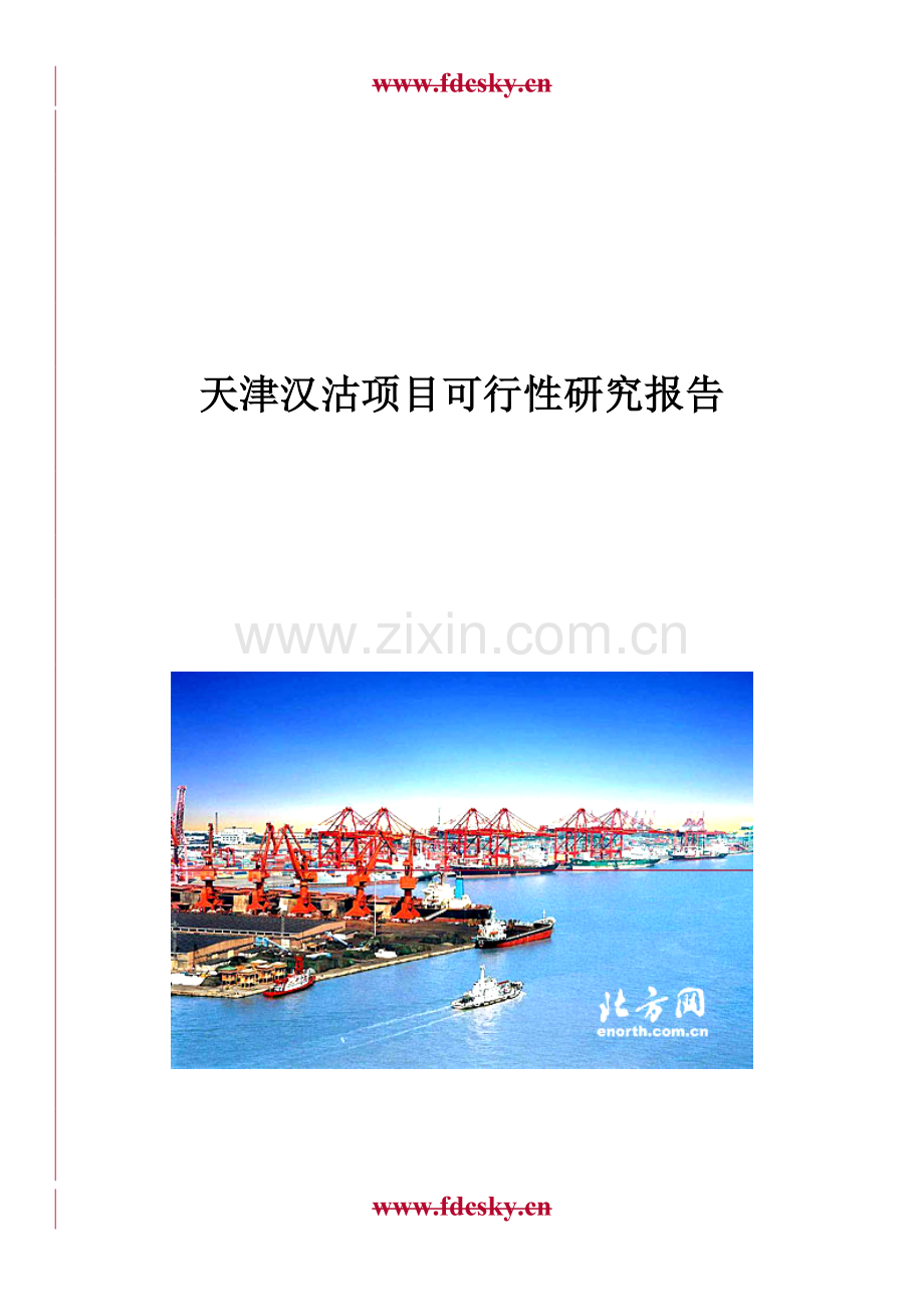 天津汉沽项目建设可研报告.doc_第1页