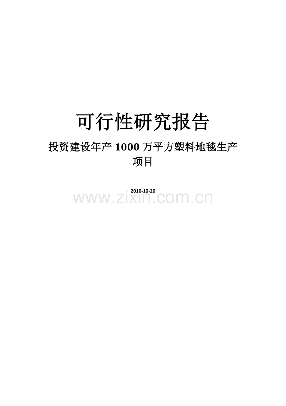 某塑料制品公司塑料地毯生产项目建设可行性研究报告.doc_第1页