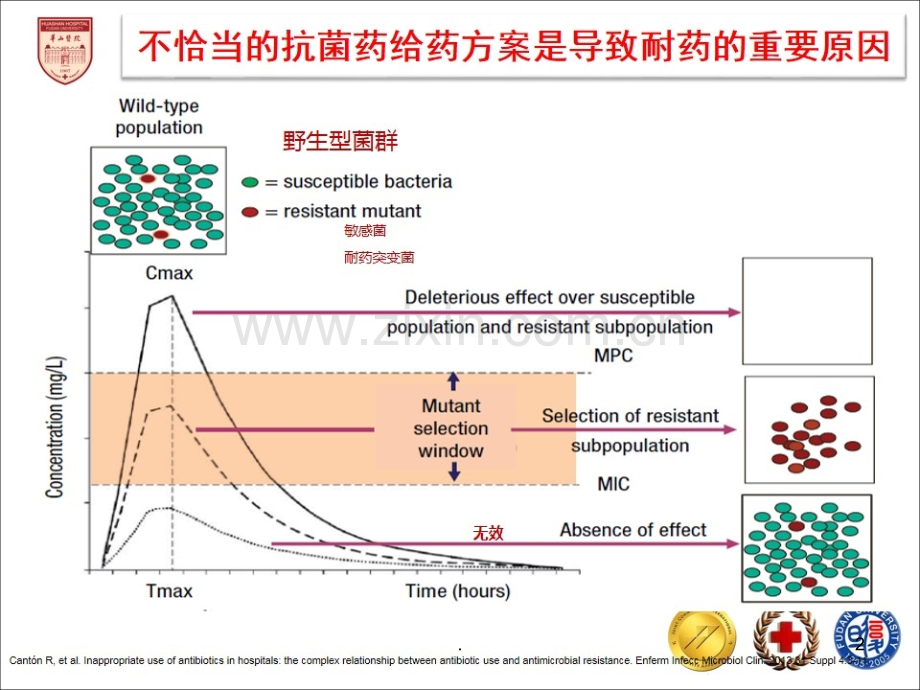 关注PKPD优化抗菌药物应用--张菁.ppt_第2页