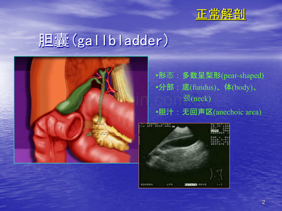 胆系疾病超声诊断.ppt_第2页