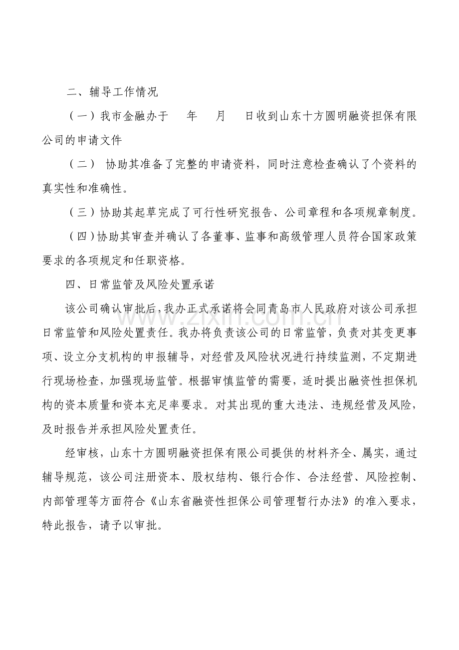 成立融资担保有限公司设立申请材料.doc_第3页