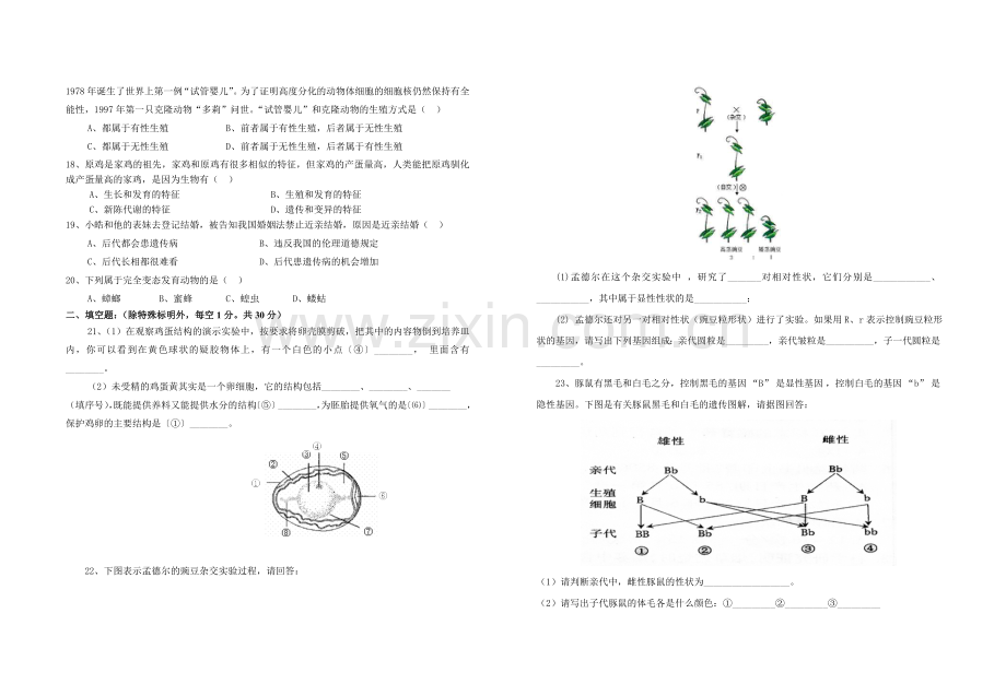 试卷、试题—--八年级生物(下册)试卷.doc_第2页