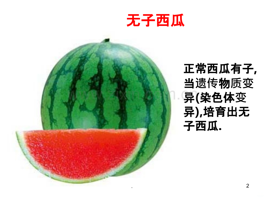 染色体异常.ppt_第2页