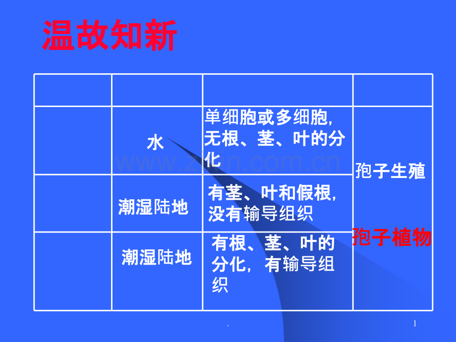 初一生物《种子植物》第二课时.ppt_第1页