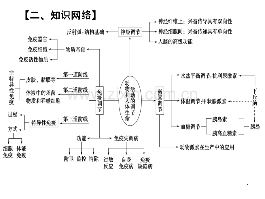 第二章-动物和人体生命活动的调节-复习.ppt_第1页