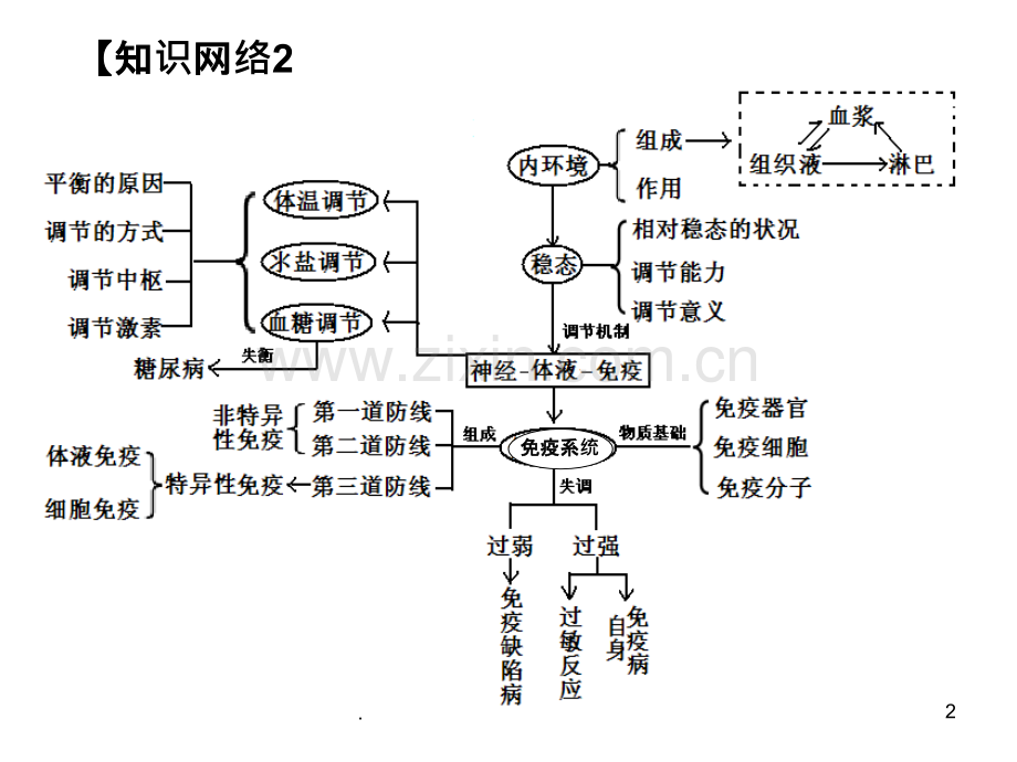 第二章-动物和人体生命活动的调节-复习.ppt_第2页