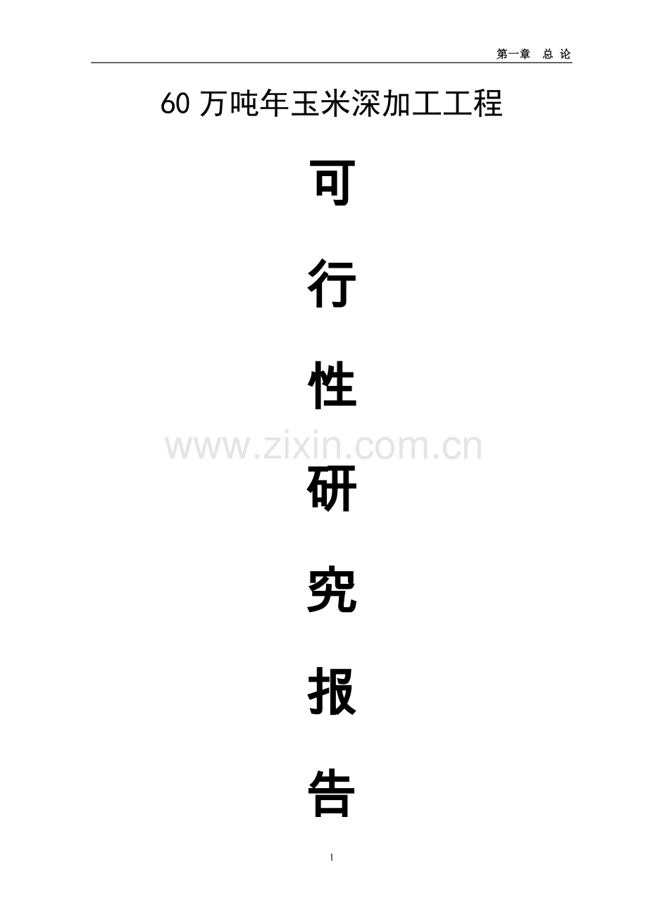 60万吨每年玉米深加工工程项目可行性研究报告.doc_第1页