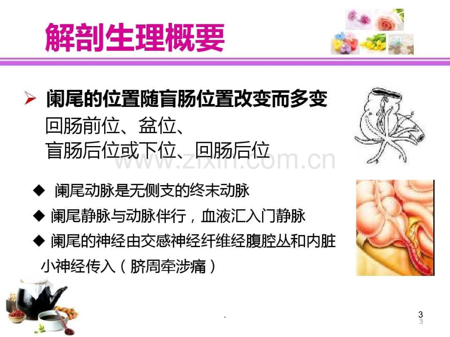 阑尾炎的术前术后护理.ppt_第3页