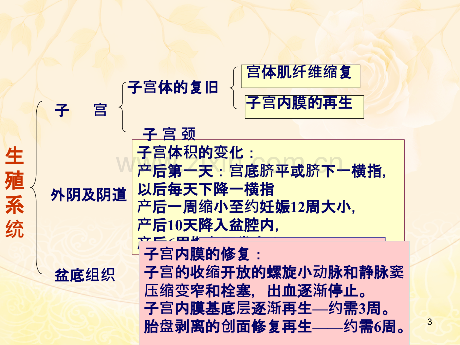 正常产褥期妇女的护理-.ppt_第3页