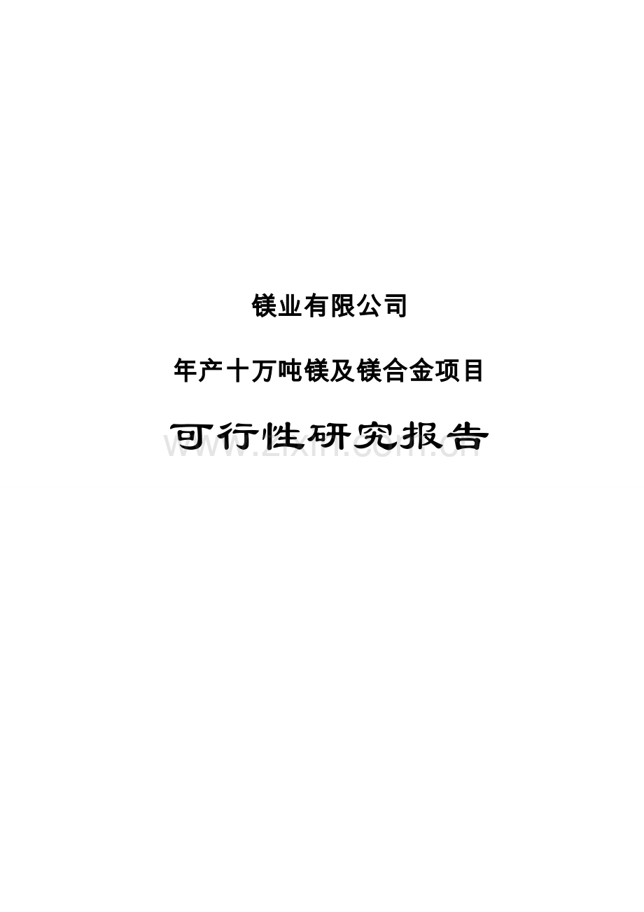 年产10万吨镁及镁合金项目-可行性研究报告.doc_第1页