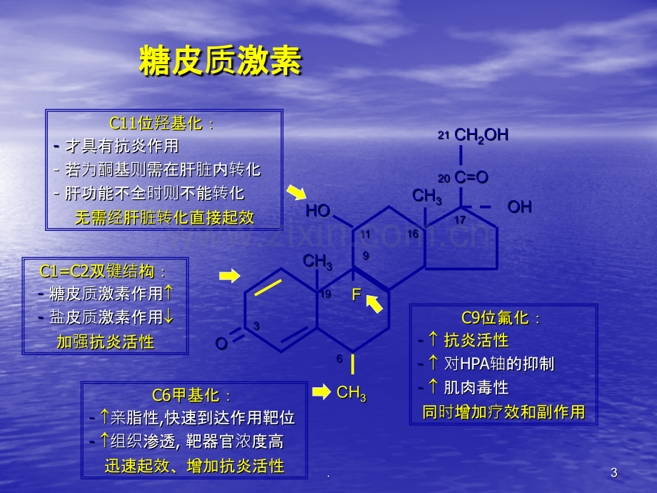 难治性肾病综合症的治疗和激素的应用ppt课件.ppt_第3页