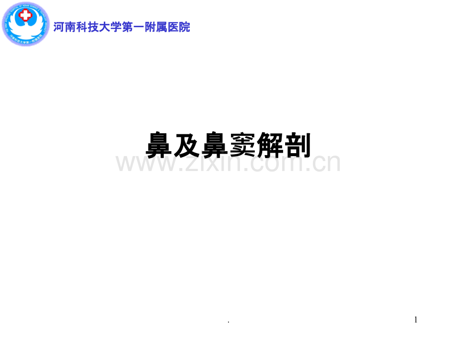 鼻及鼻窦解剖课件.ppt_第1页