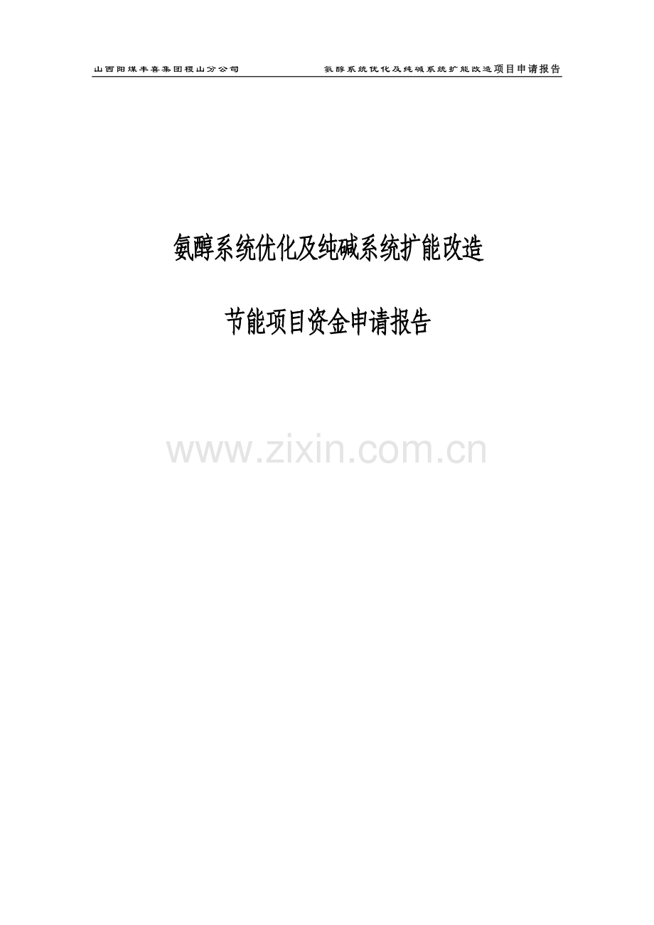 氨醇系统优化及纯碱系统扩能改造项目可行性研究报告.doc_第1页