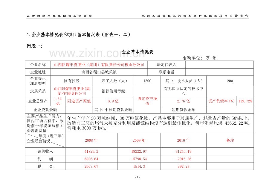 氨醇系统优化及纯碱系统扩能改造项目可行性研究报告.doc_第3页