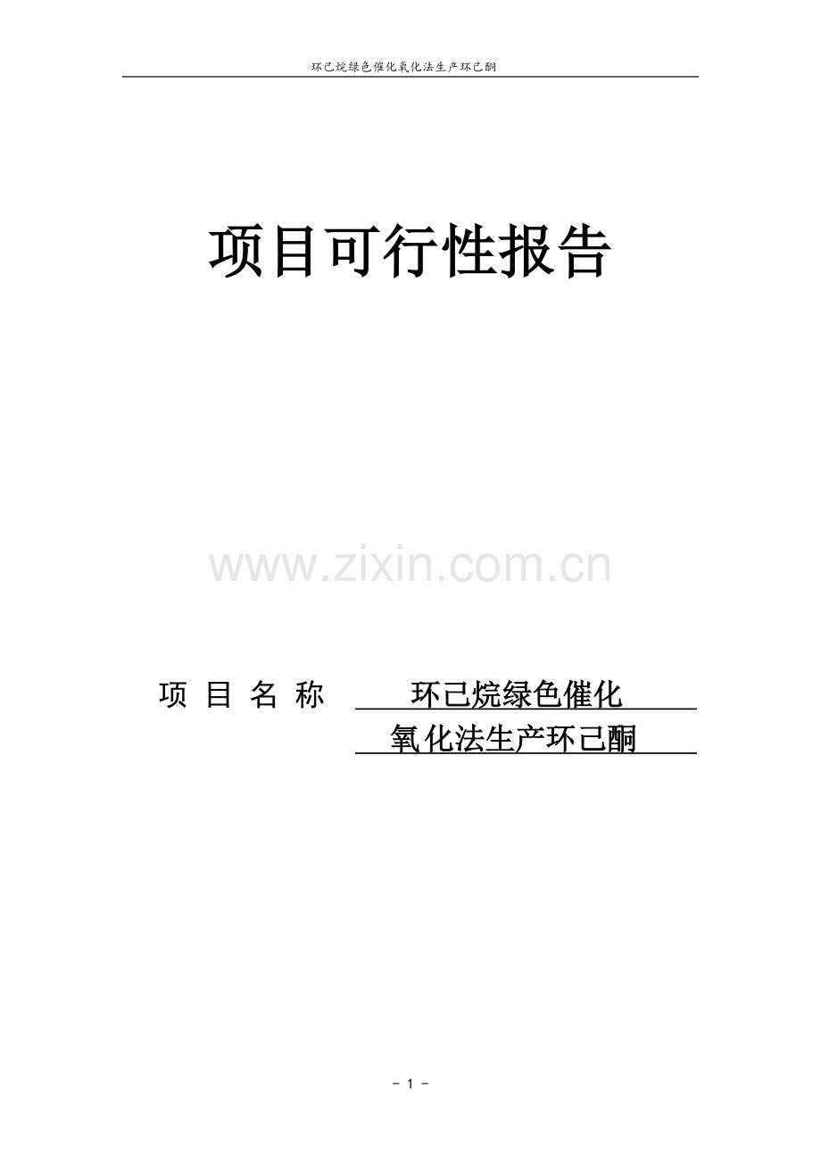 环己烷绿色催化氧化法生产环己酮可行性研究报告书.doc_第1页