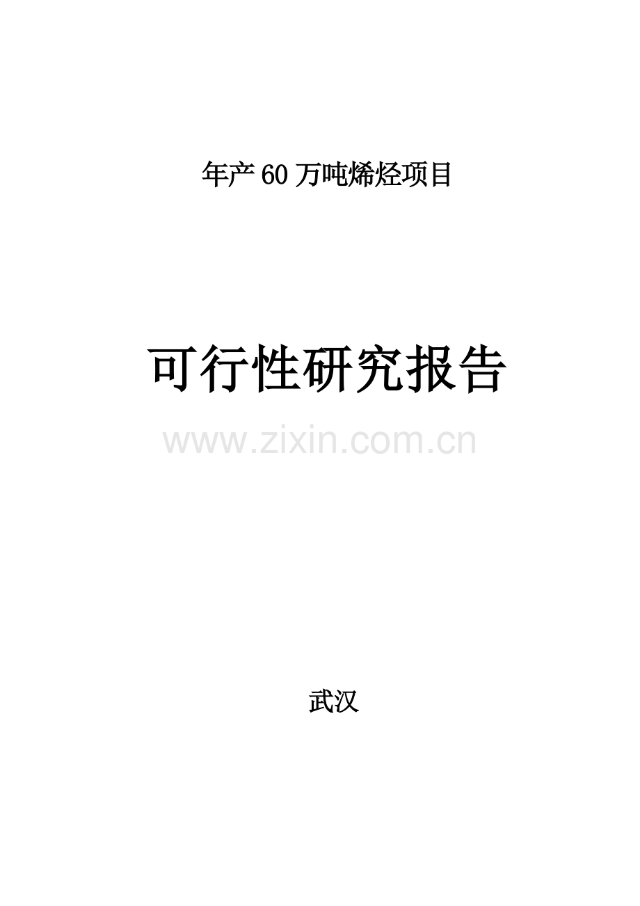 某省新能源开发有限公司年产60万吨烯烃包括聚乙烯-聚丙烯-丁烯项目可行性研究报告.doc_第1页