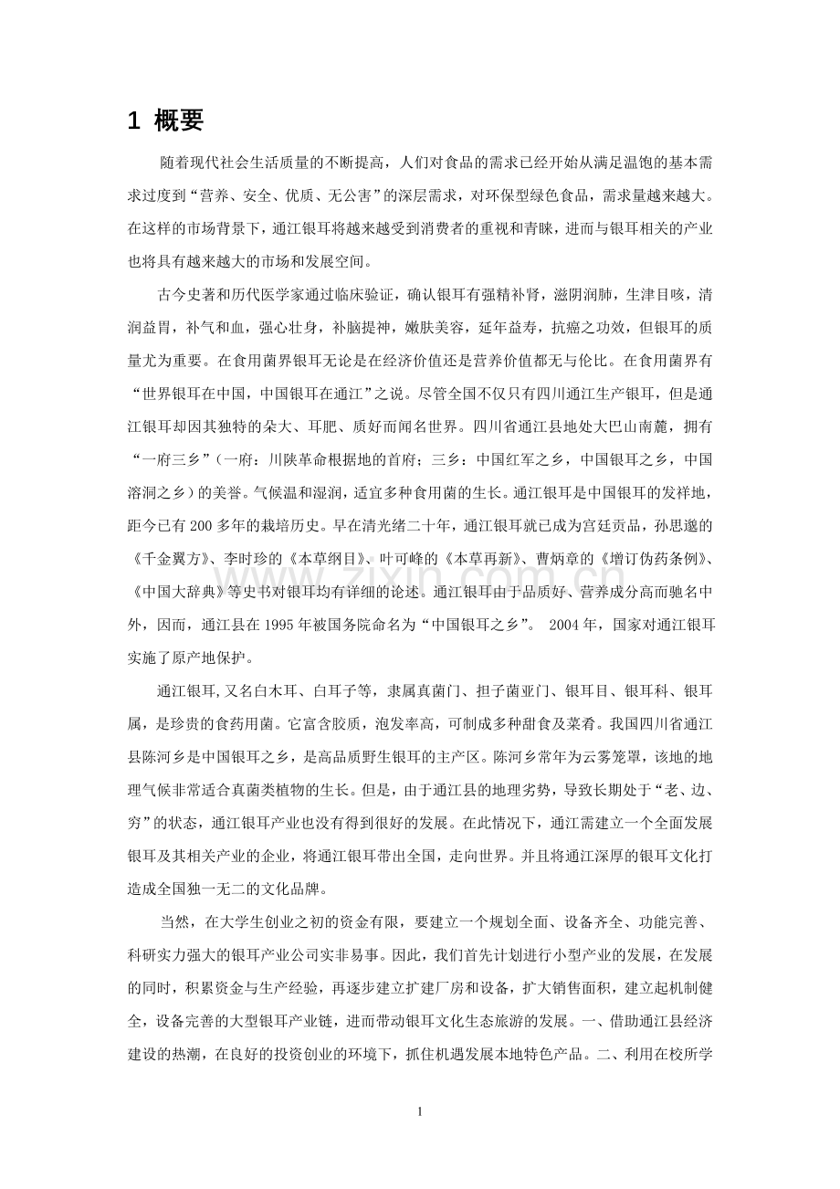 银耳系列产品公司商业谋划方案书.doc_第1页