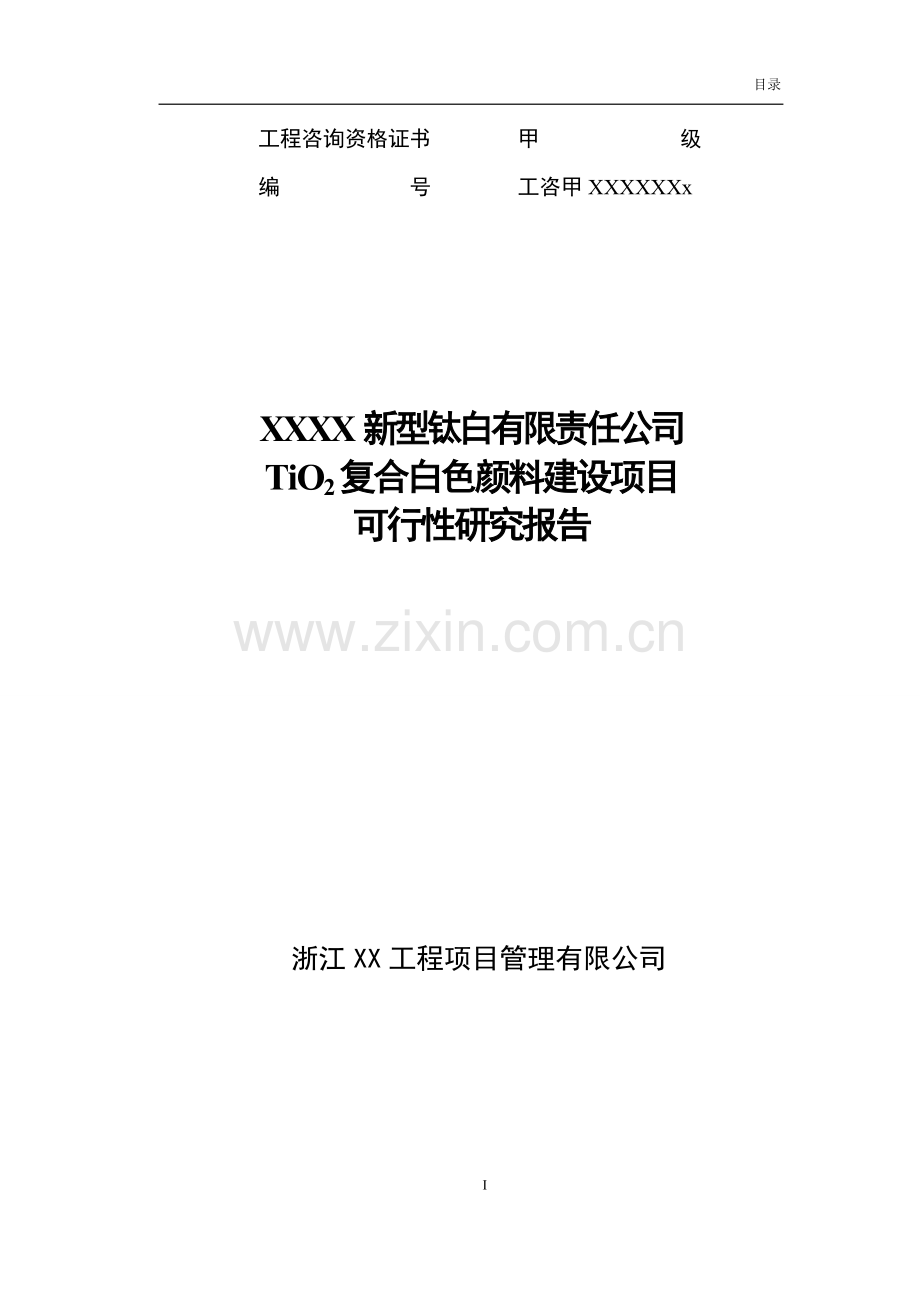 二氧化钛复合白色颜料建设新项目可行性研究报告.doc_第1页