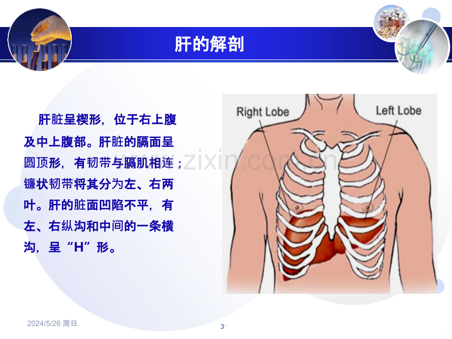 《肝超声诊断》.ppt_第3页