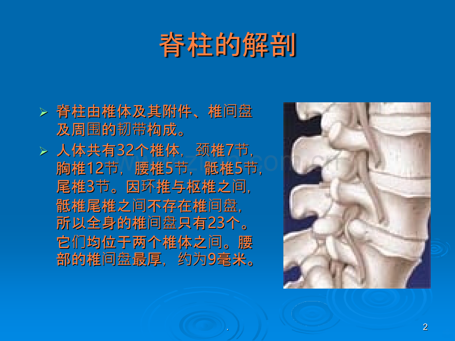 脊柱介入治疗进展臭氧椎间盘治疗ppt课件.ppt_第2页