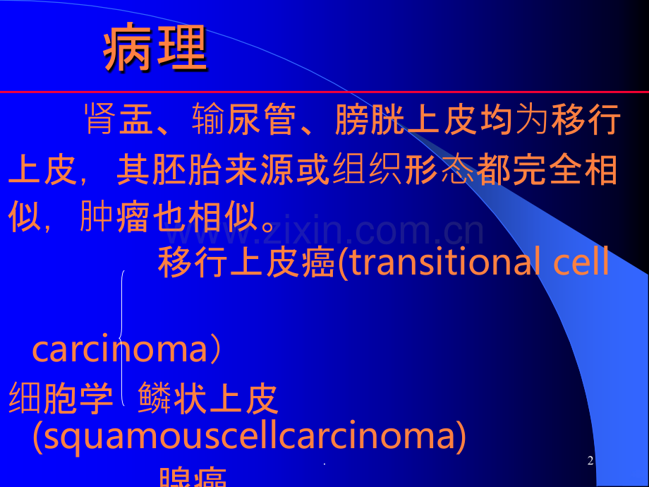 肾盂、输尿管、膀胱癌ppt课件.ppt_第2页