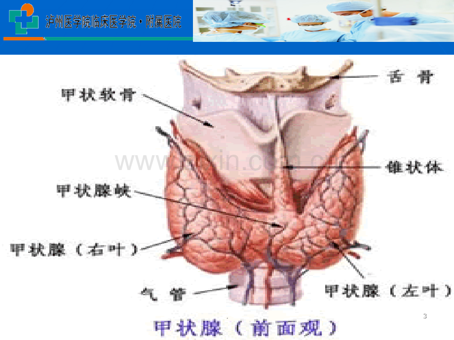 甲状腺癌护理ppt课件.ppt_第3页