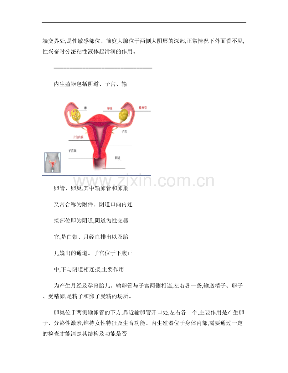 女性生殖器官的结构和功能.doc_第2页