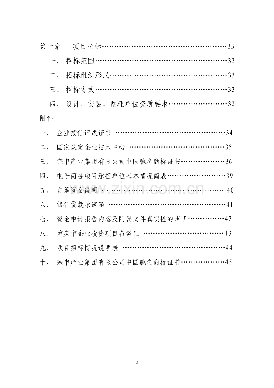 集团信息化以及电子商务项目可行性研究报告.doc_第3页