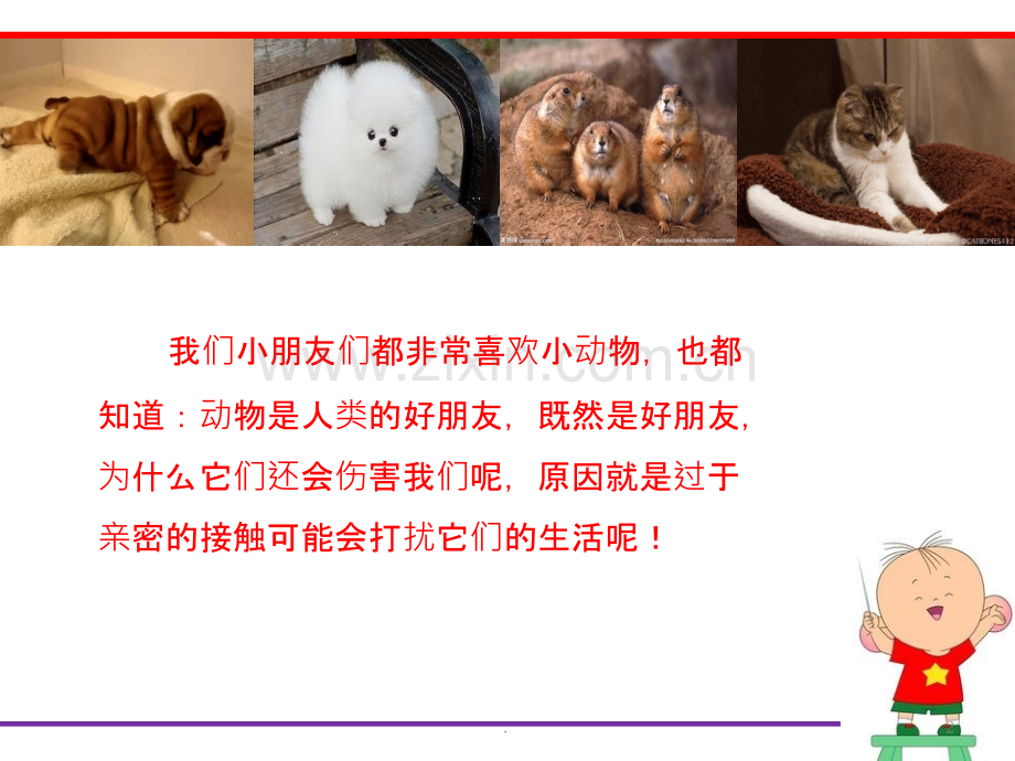 安全：不惹小动物.ppt_第2页