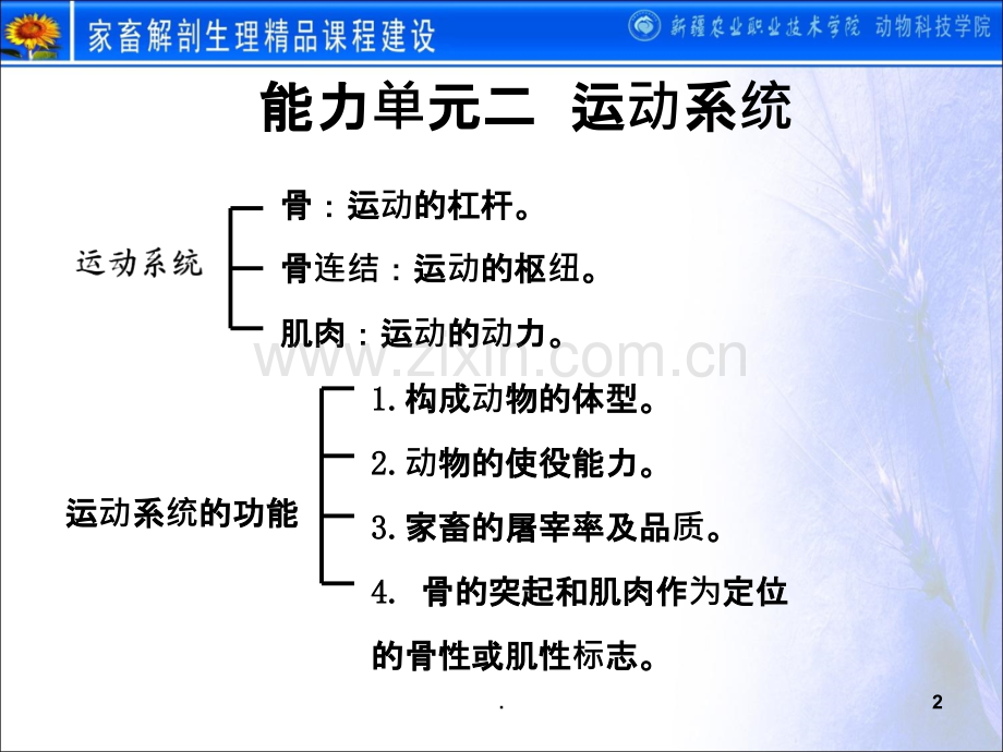 家畜解剖生理.ppt_第2页