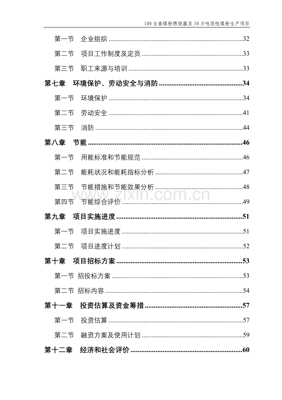 煤粉燃烧器及改性煤粉生产项目建设投资可行性研究报告.doc_第3页