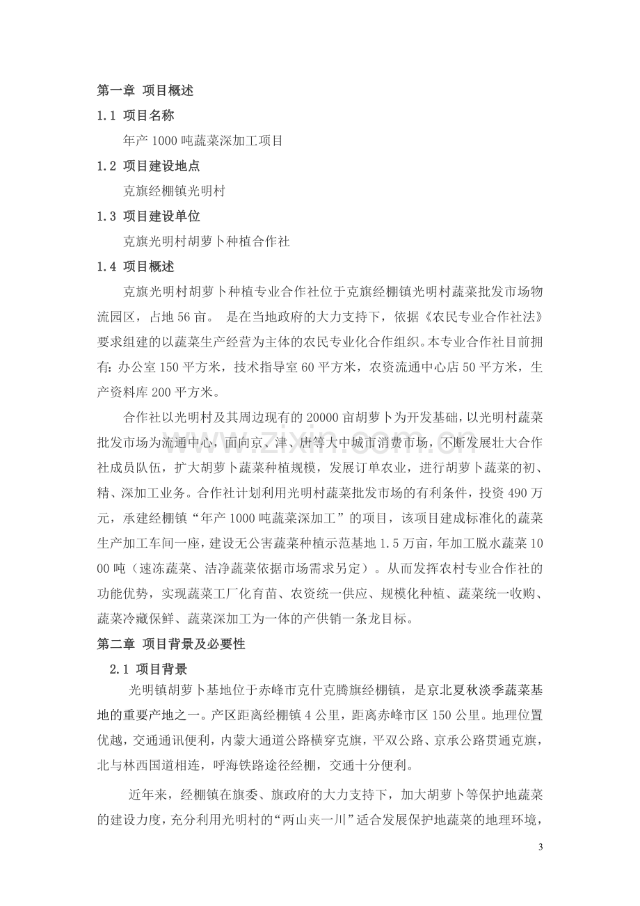 年产1000吨蔬菜深加工项目项目建设可行性研究报告.doc_第3页