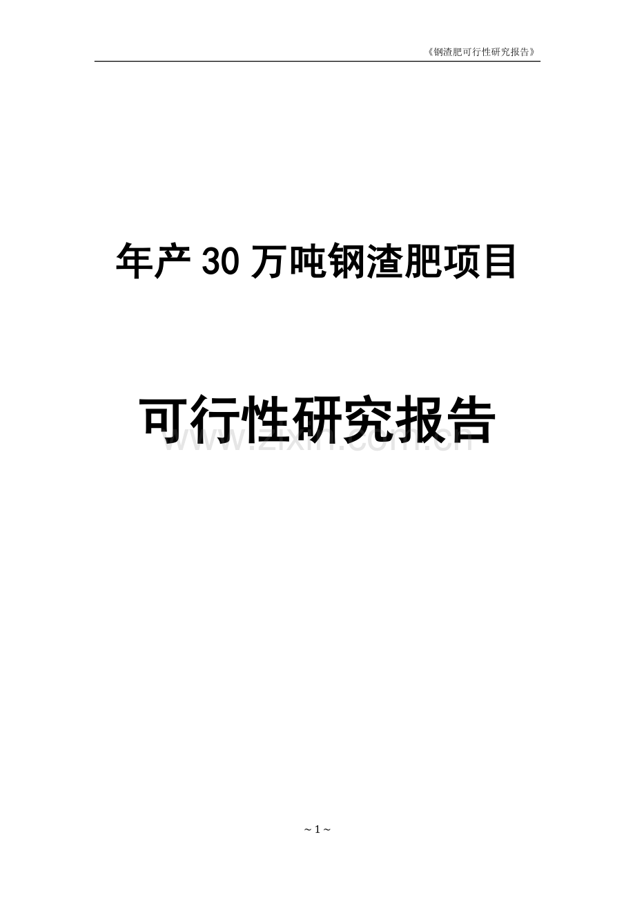 年产30万吨钢渣肥项目可行性研究报告.doc_第1页