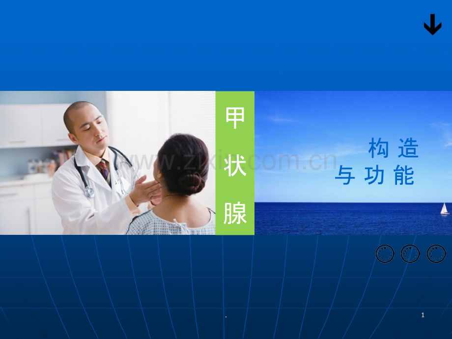 甲状腺疾病与治疗ppt课件.ppt_第1页