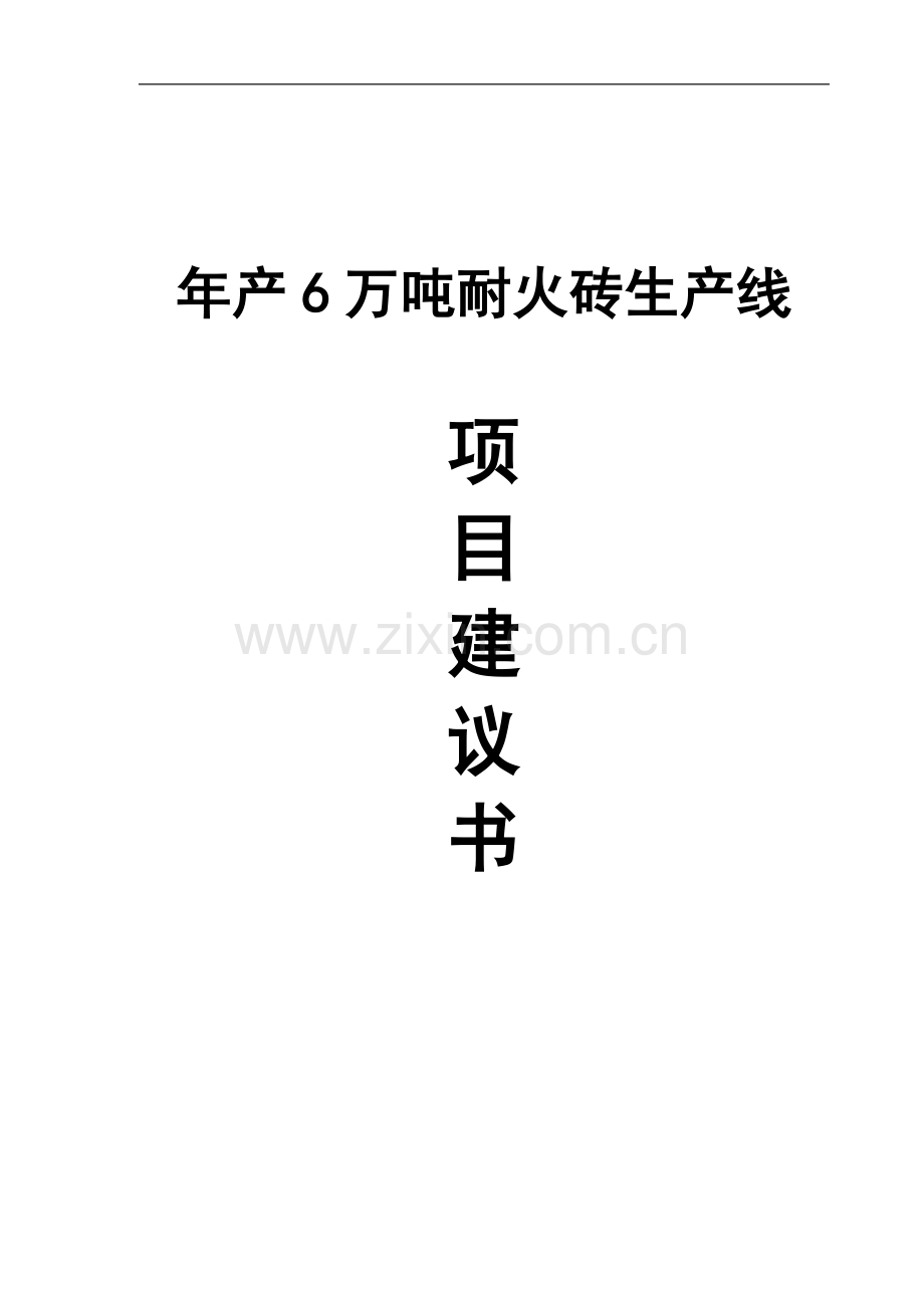 年产6万吨耐火砖生产线项目可行性研究报告.doc_第1页