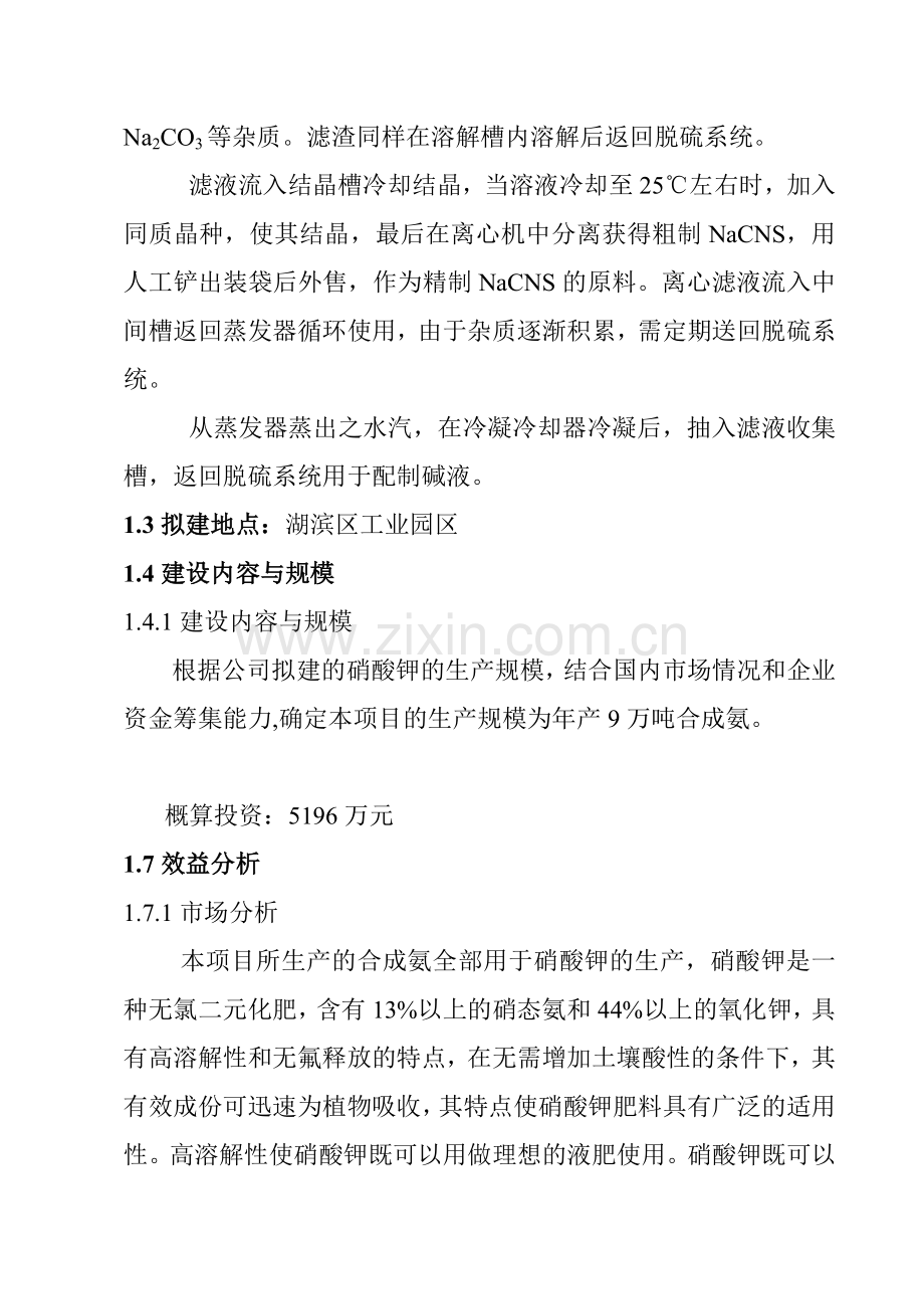 30万吨合成氨联产尿素项目可行性研究报告.doc_第3页