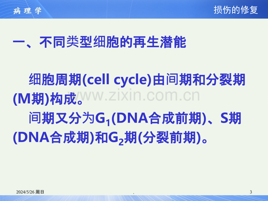 病理学损伤的修复.ppt_第3页