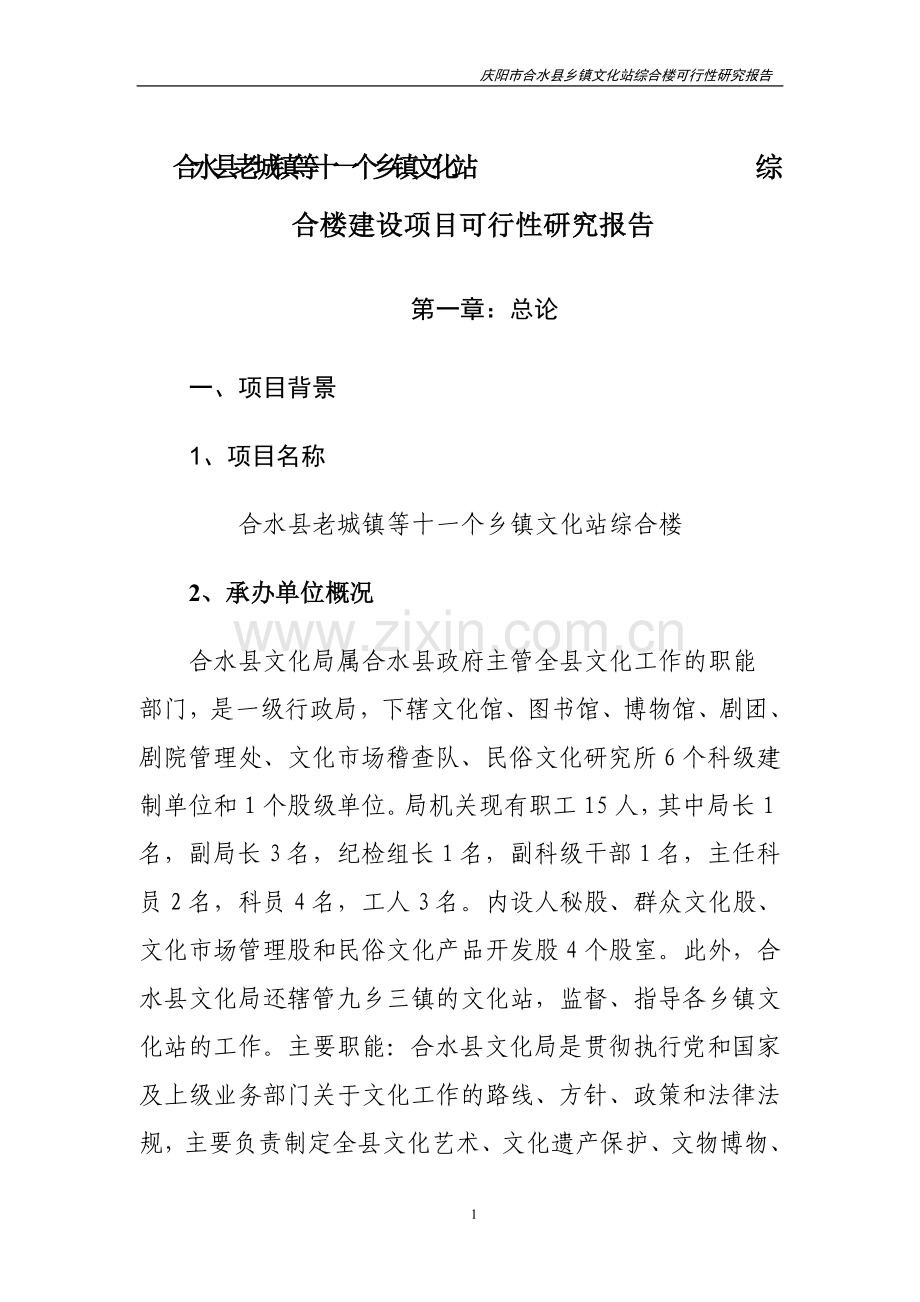 文化站综合楼项目申请立项可研报告.doc_第1页