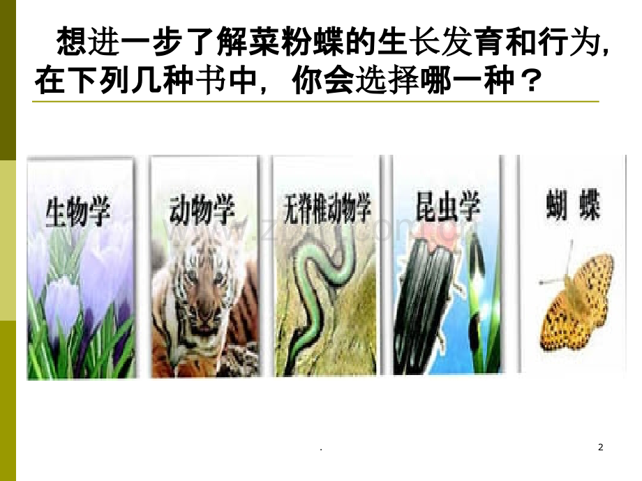 尝试对生物进行分类.ppt_第2页